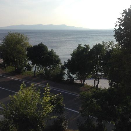 Apartment Marina Senj Senj  Dış mekan fotoğraf